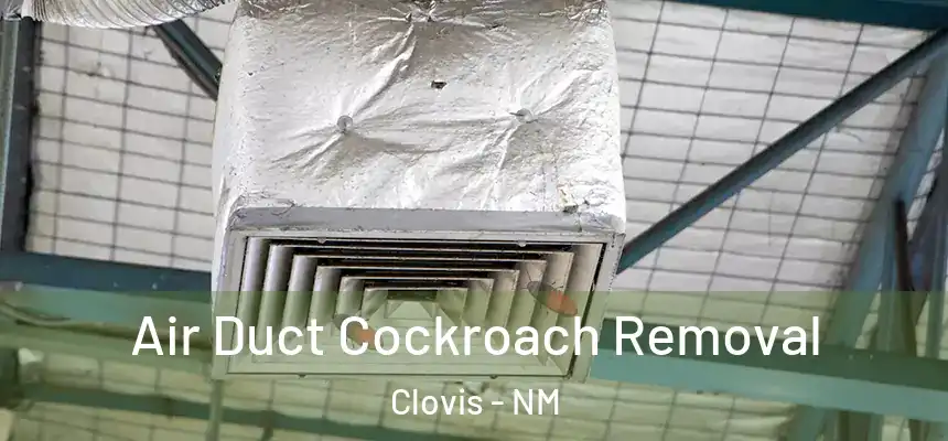Air Duct Cockroach Removal Clovis - NM