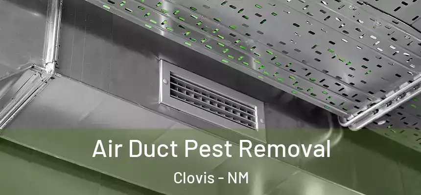 Air Duct Pest Removal Clovis - NM