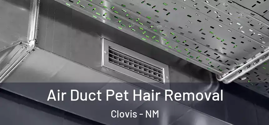 Air Duct Pet Hair Removal Clovis - NM