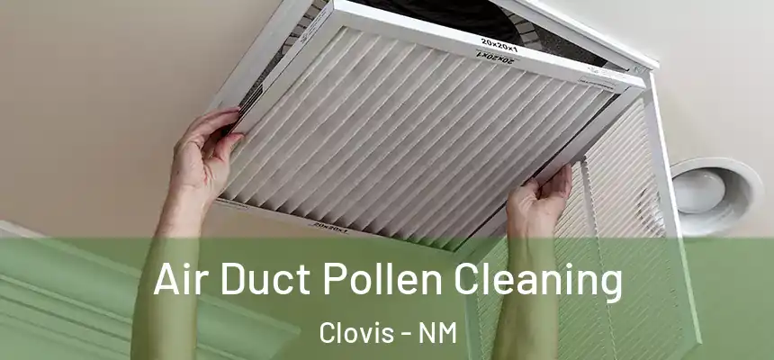  Air Duct Pollen Cleaning Clovis - NM