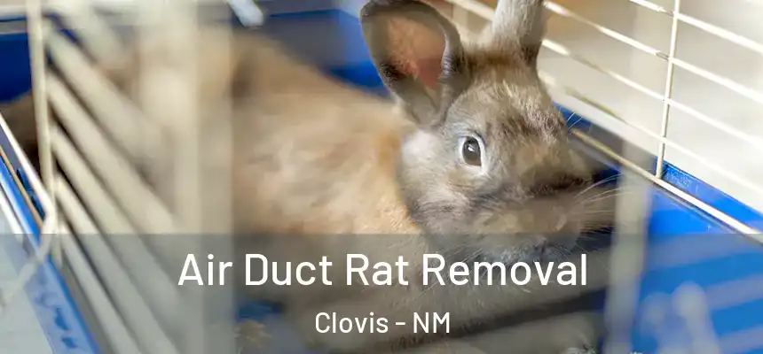  Air Duct Rat Removal Clovis - NM