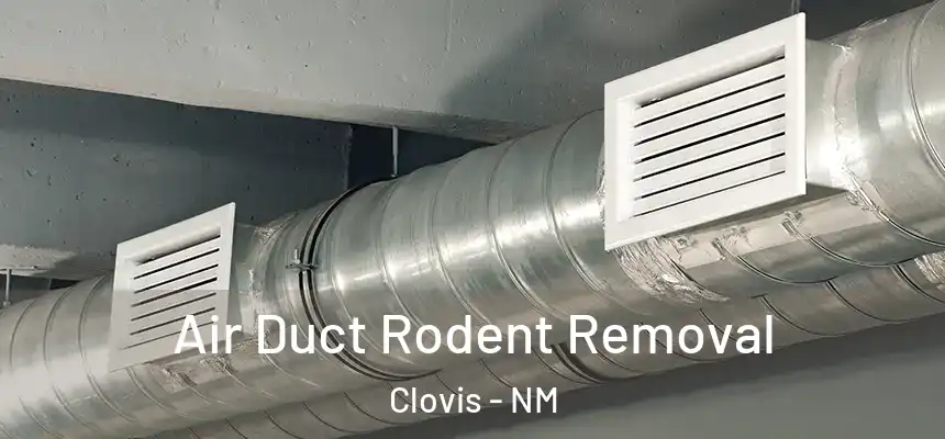Air Duct Rodent Removal Clovis - NM