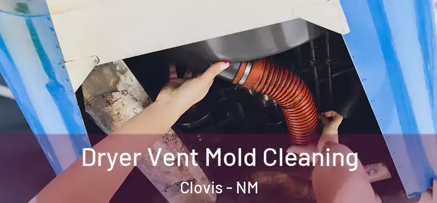 Dryer Vent Mold Cleaning Clovis - NM