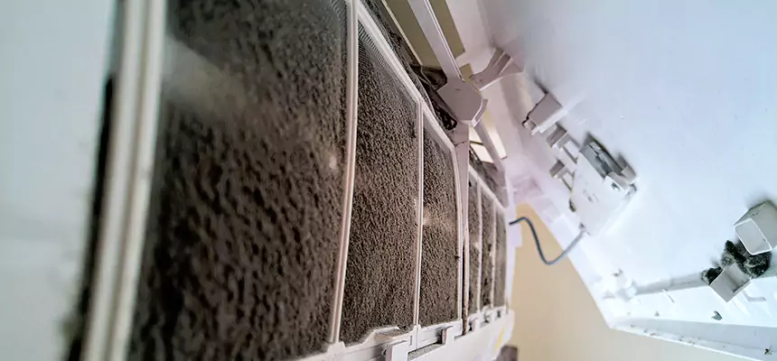 Preventive Air Duct Bacteria Removal in Clovis