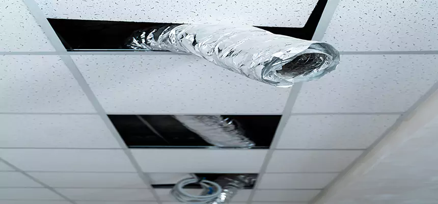 Our Air Duct Pet Hair Removal Services in Clovis, NM