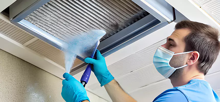 Proactive Dryer Vent & Auxiliary Duct Pollen Cleanup in Clovis, NM