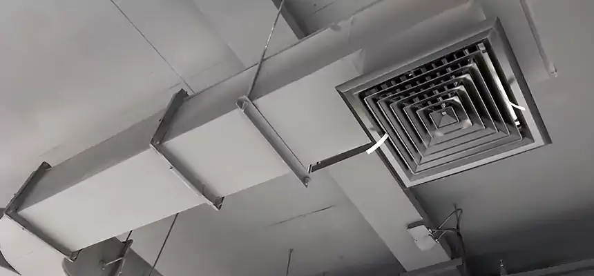 Restorative Allergy Relief Vent Cleaning – Coil, Blower & Housing Detail in Clovis