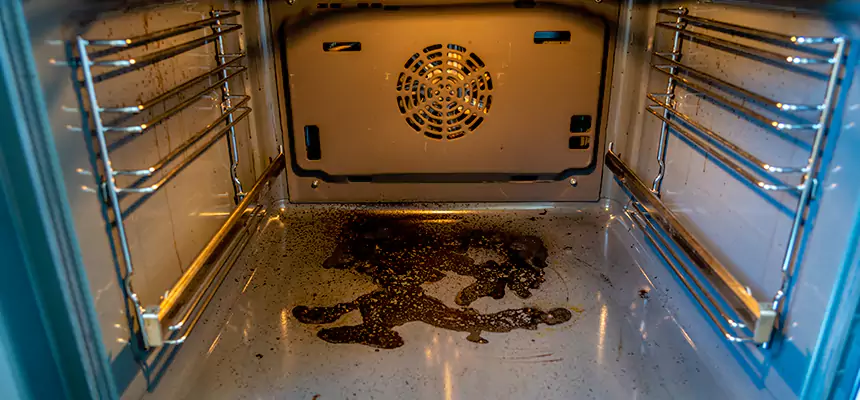 Our Dryer Vent Mold Cleaning Services in Clovis, NM