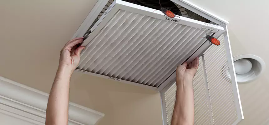 Our Insect Removal from Air Ducts Services in Clovis, NM