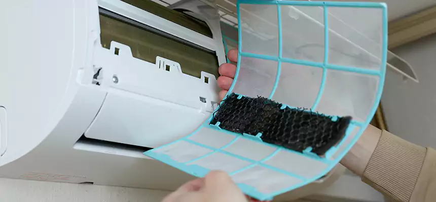 Gentle Ductwork Odor-Control Pet Dander Duct Cleaning in Clovis, NM