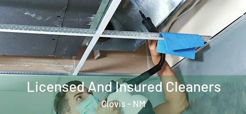 Licensed And Insured Cleaners Clovis - NM