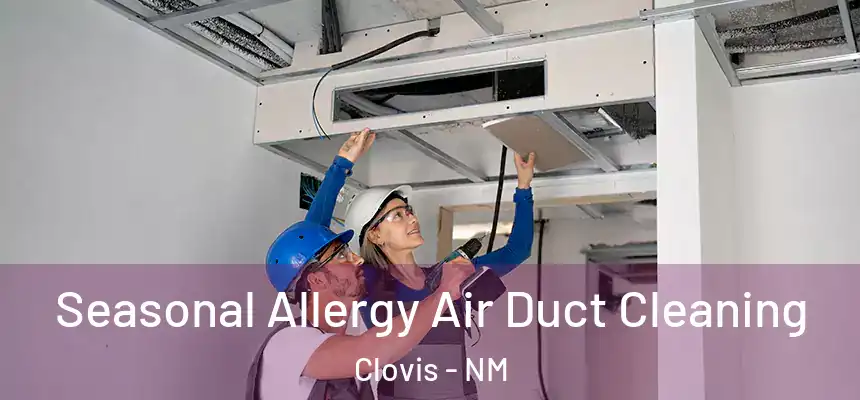  Seasonal Allergy Air Duct Cleaning Clovis - NM