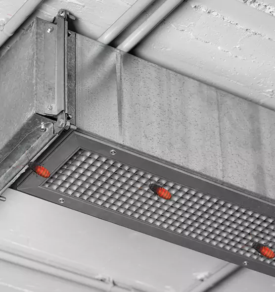 About Air Duct Cockroach Removal in Clovis, NM