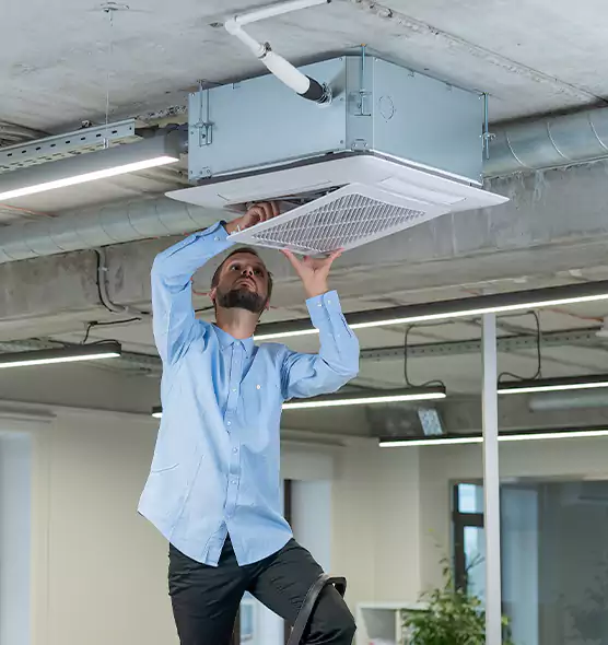 Advanced Rodent Droppings In Vents in Clovis, NM