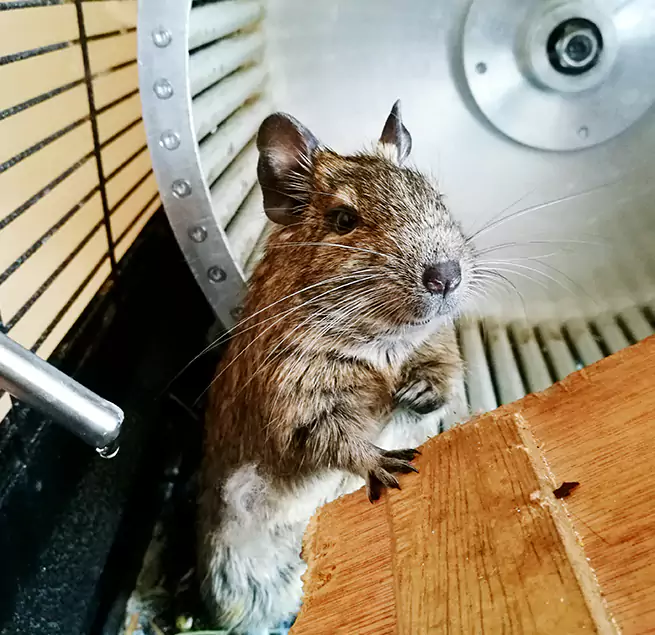 Why Homeowners & Businesses Trust Us Clovis, NM