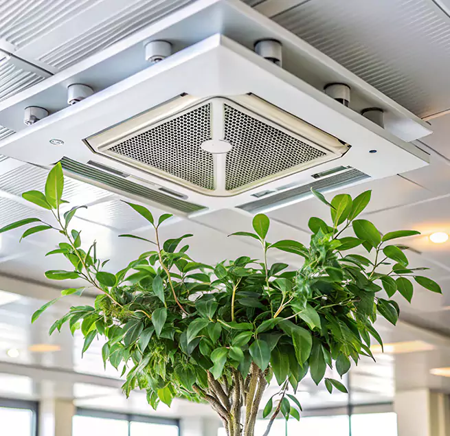 Why Homeowners & Businesses Trust Us in Clovis, NM