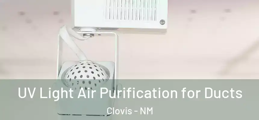  UV Light Air Purification for Ducts Clovis - NM